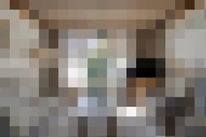 Voor-Oventje 24 Zeeland thumbnail 10