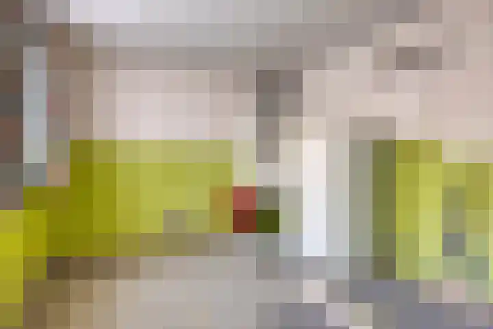Voor-Oventje 24 Zeeland thumbnail 20