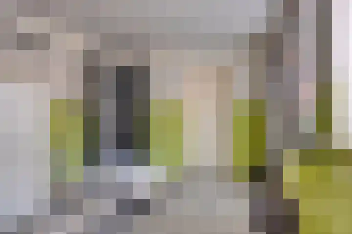Voor-Oventje 24 Zeeland thumbnail 21