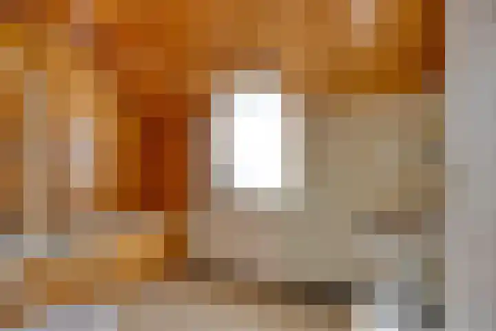 Voor-Oventje 24 Zeeland thumbnail 25