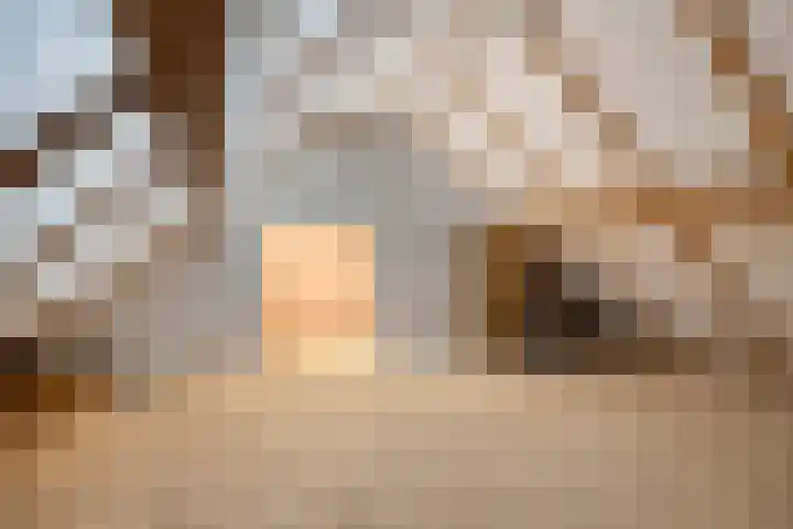 Voor-Oventje 24 Zeeland thumbnail 36