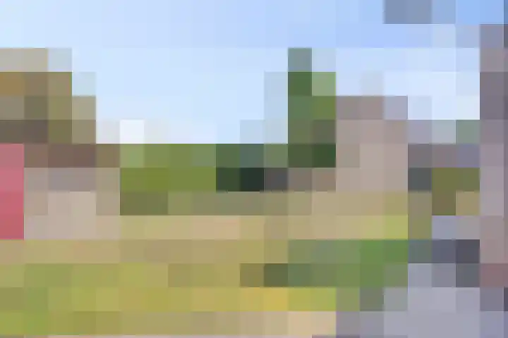 Voor-Oventje 24 Zeeland thumbnail 39