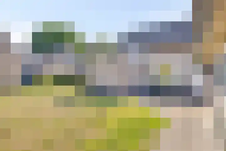 Voor-Oventje 24 Zeeland thumbnail 40