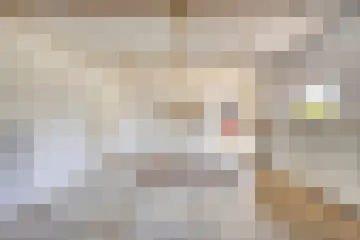 Voor-Oventje 24 Zeeland thumbnail 44