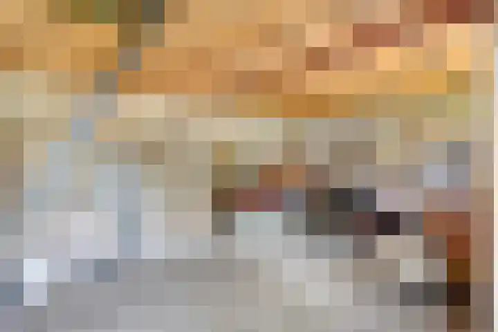 Voor-Oventje 24 Zeeland thumbnail 45