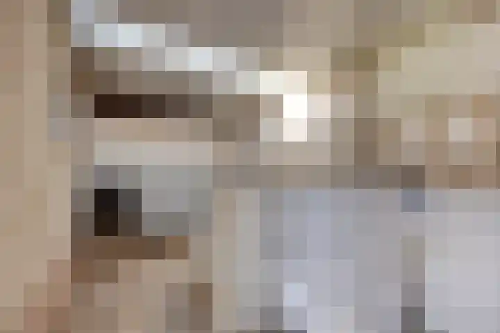 Voor-Oventje 24 Zeeland thumbnail 46