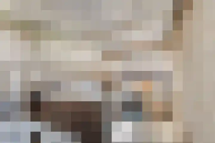Voor-Oventje 24 Zeeland thumbnail 47