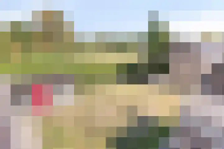 Voor-Oventje 24 Zeeland thumbnail 49