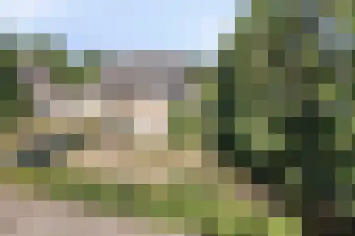 Voor-Oventje 24 Zeeland thumbnail 54
