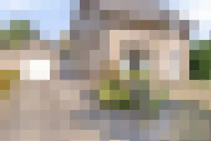 Voor-Oventje 24 Zeeland thumbnail 6