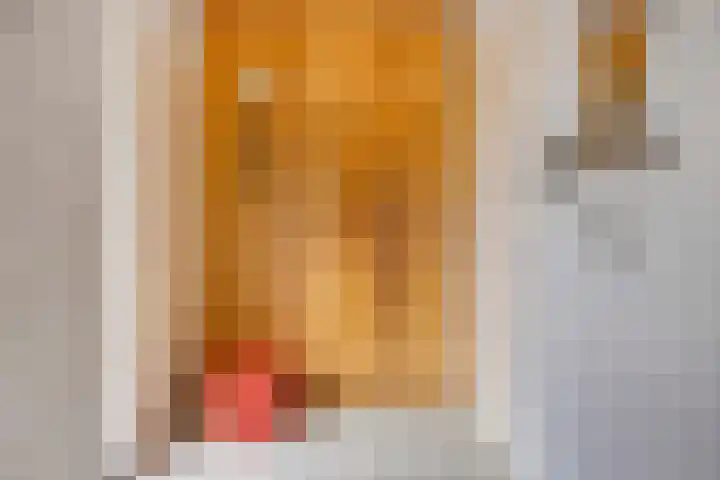 Voor-Oventje 24 Zeeland thumbnail 8