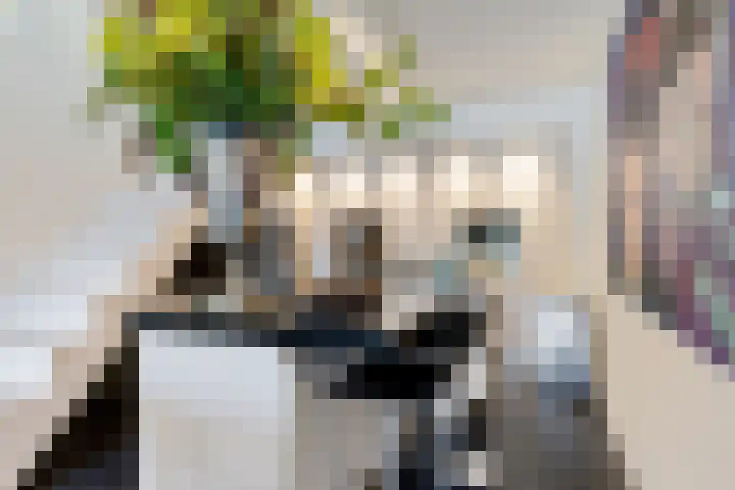 Voor 't voormalig klein Poortje 12 Groningen thumbnail 13