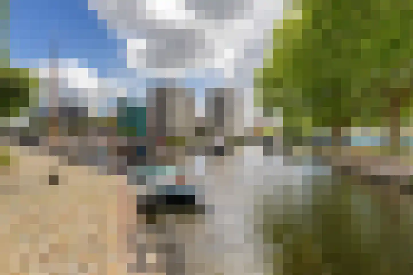 Voor 't voormalig klein Poortje 12 Groningen thumbnail 37