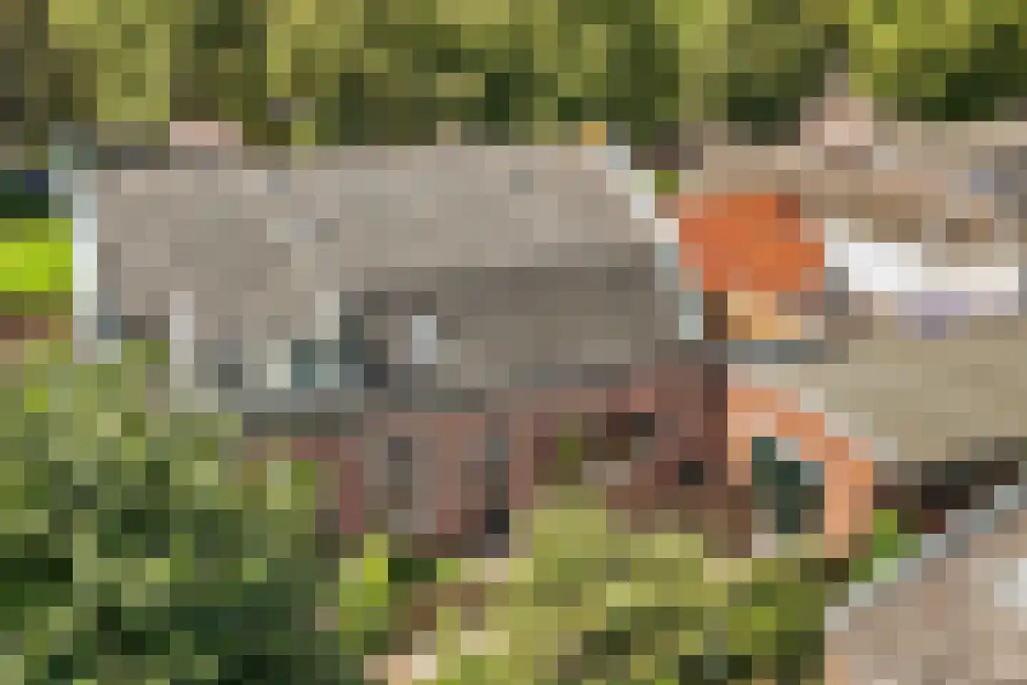 Voorbaan 58 Huizen thumbnail 26