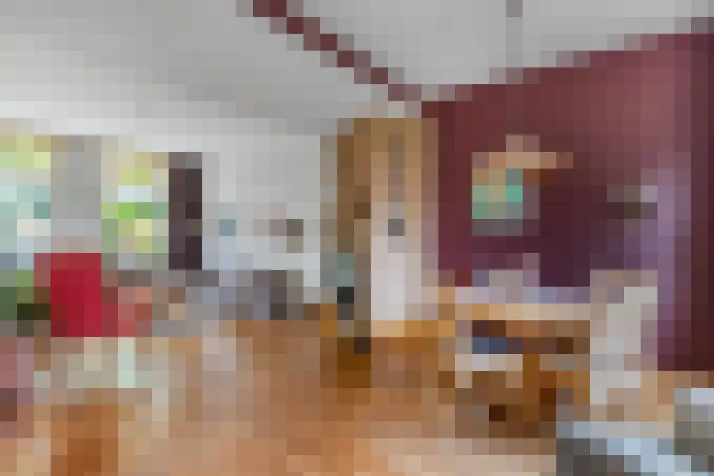 Voorbaan 58 Huizen thumbnail 5