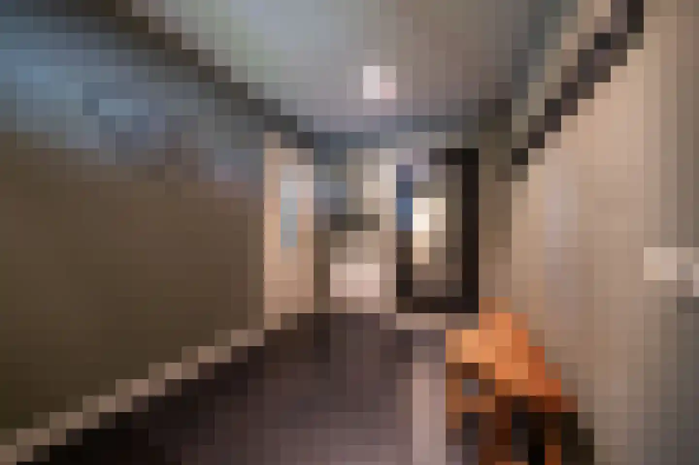 Voorbancken 12 D Vinkeveen thumbnail 10
