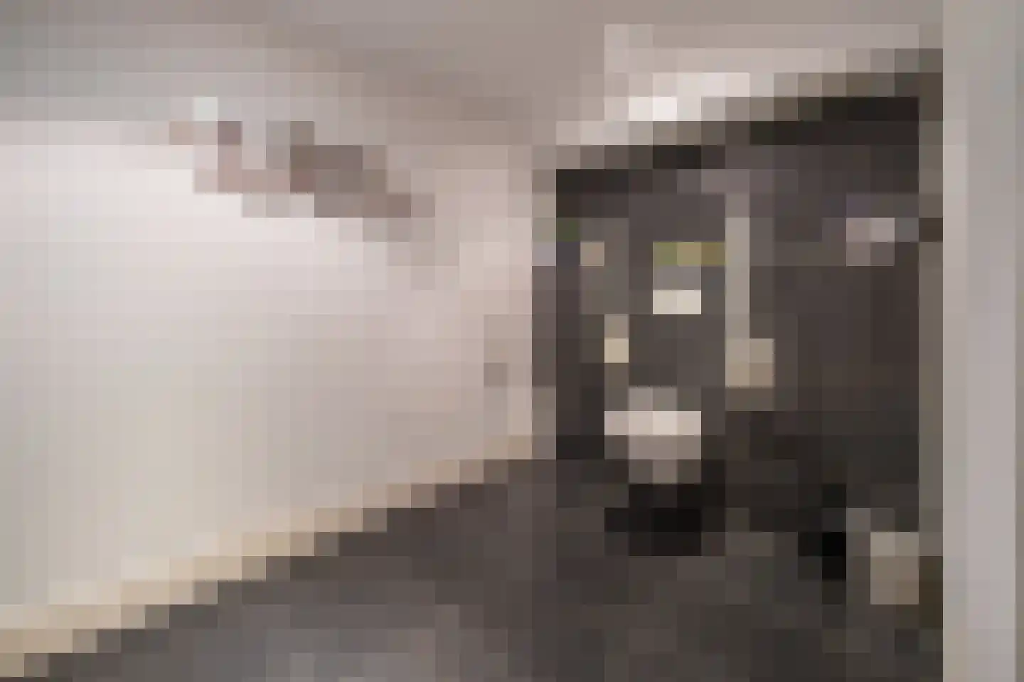 Voorbancken 12 D Vinkeveen thumbnail 20