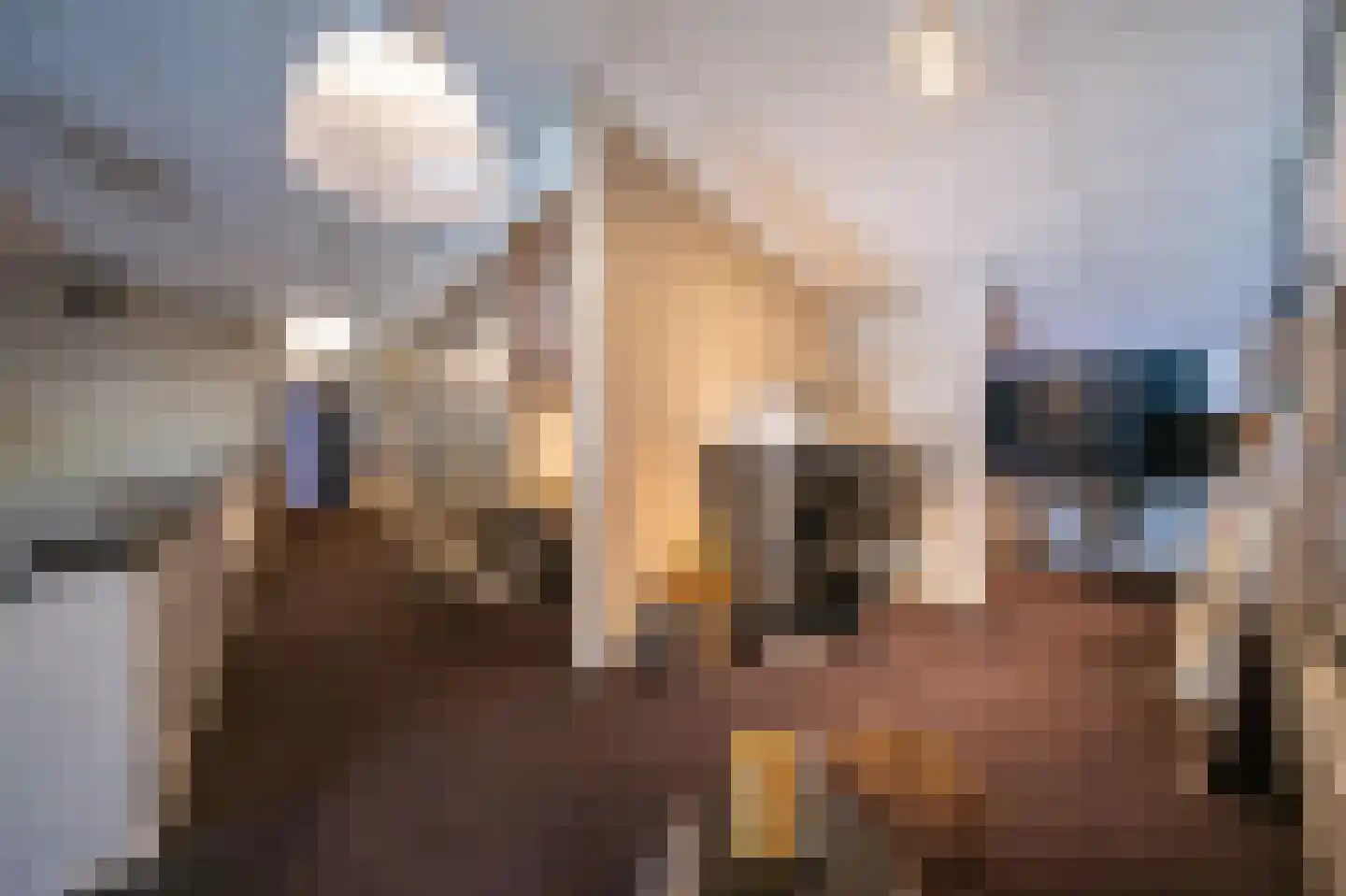 Voorbancken 12 D Vinkeveen thumbnail 22