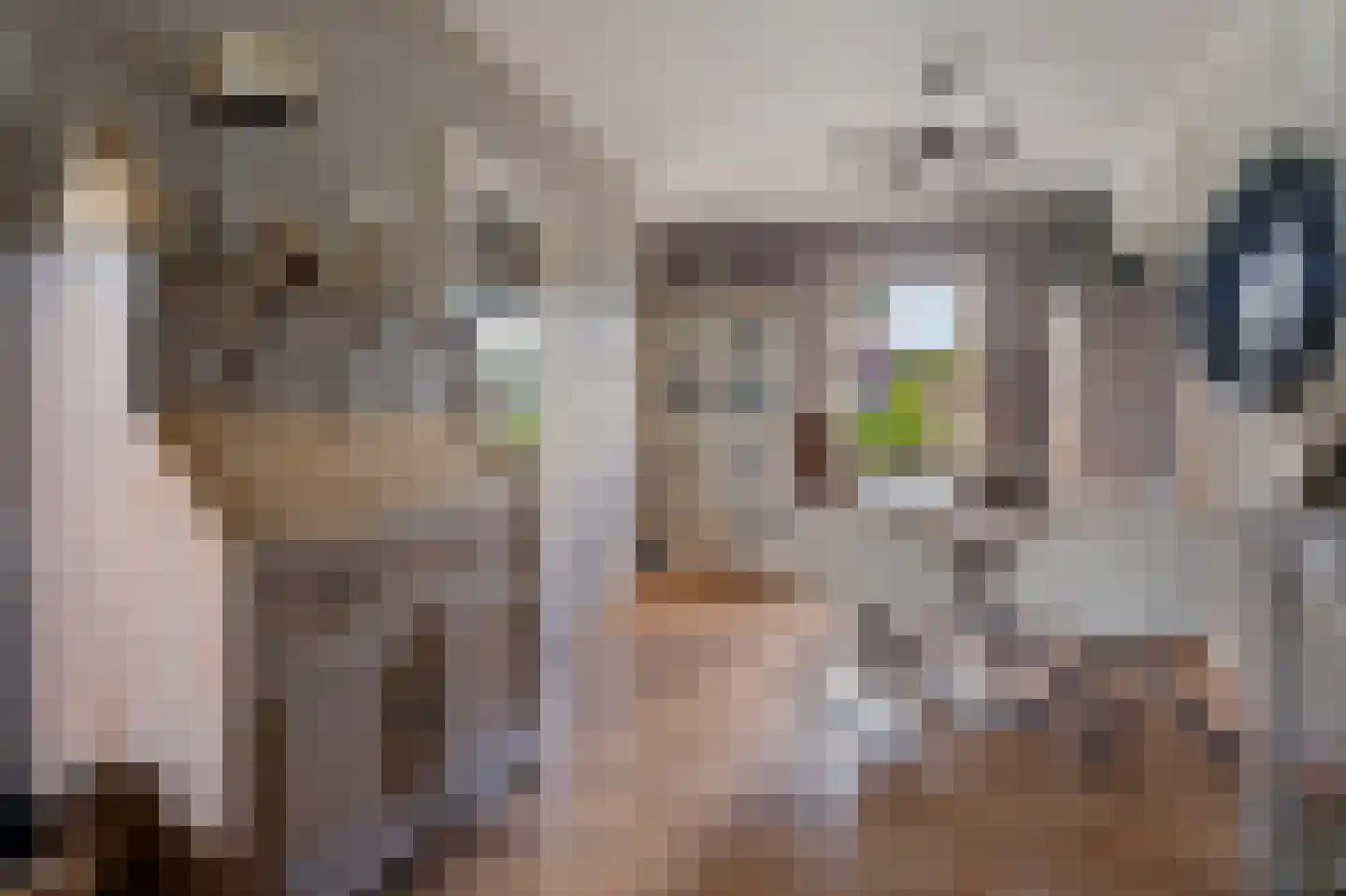 Voorbeetseweg 38 Sellingen thumbnail 10