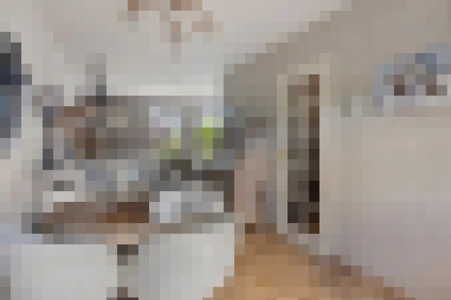 Voorbeetseweg 38 Sellingen thumbnail 11