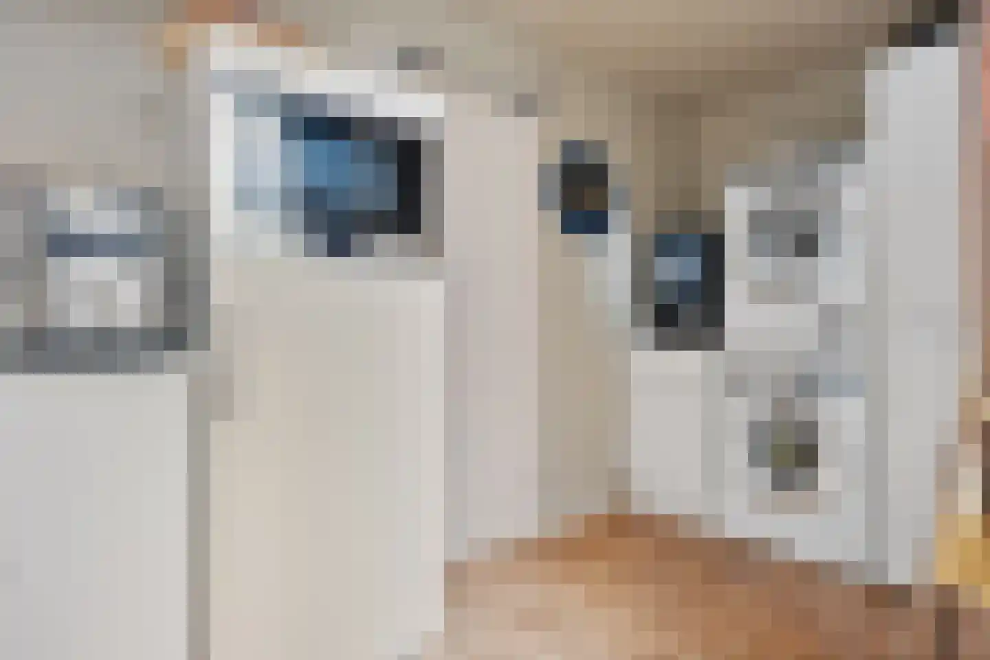 Voorbeetseweg 38 Sellingen thumbnail 14