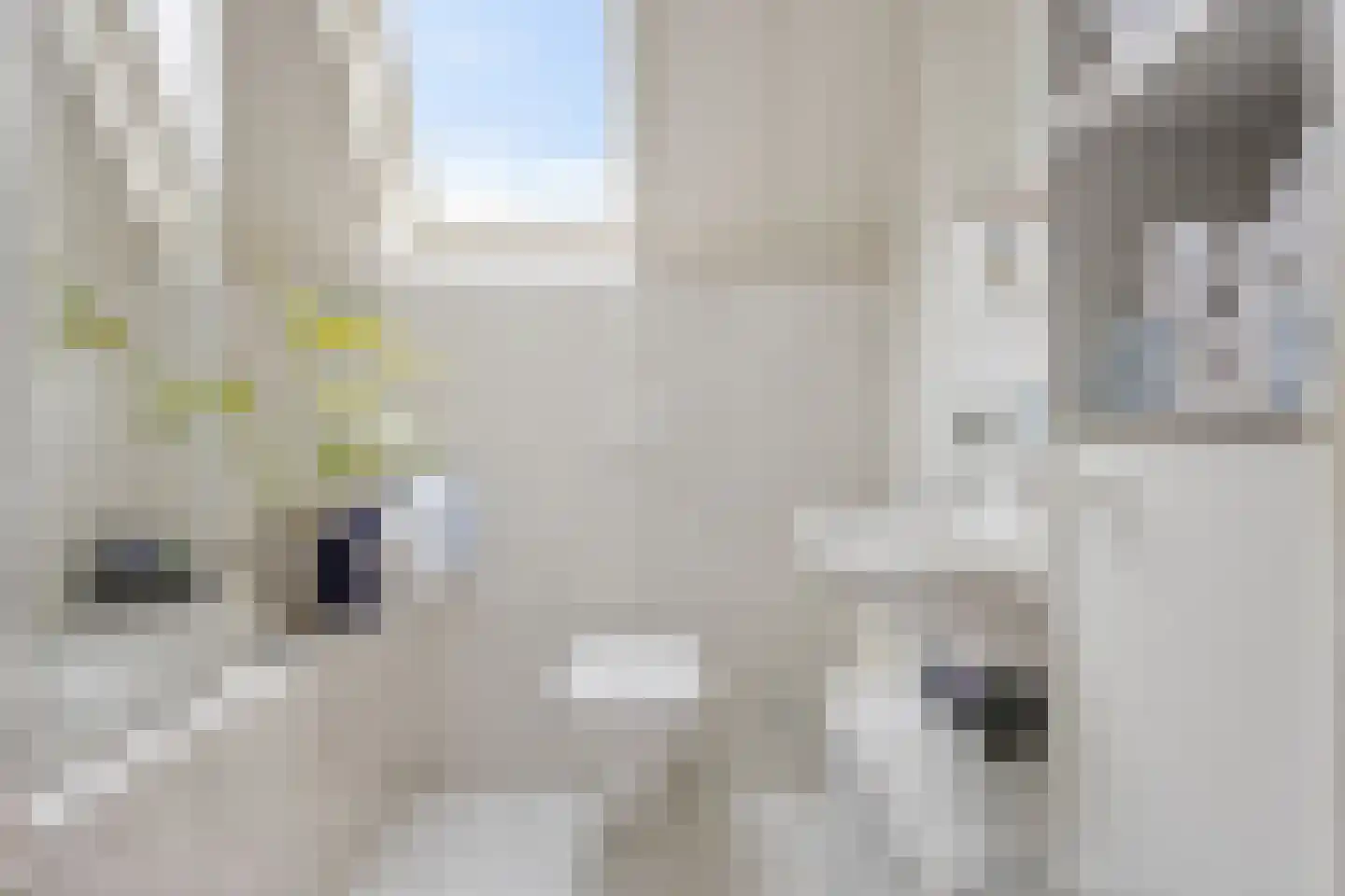 Voorbeetseweg 38 Sellingen thumbnail 32