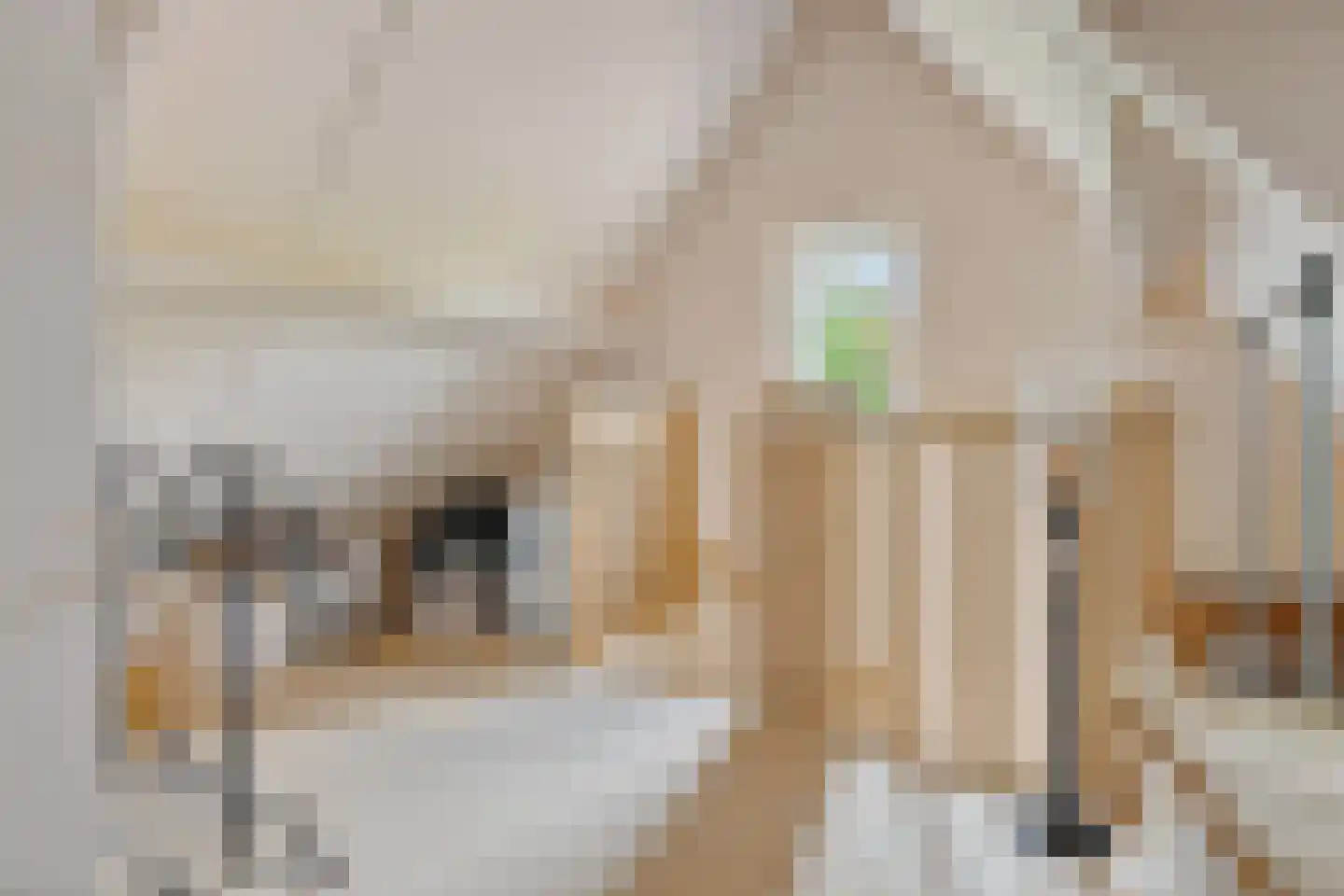 Voorbeetseweg 38 Sellingen thumbnail 35