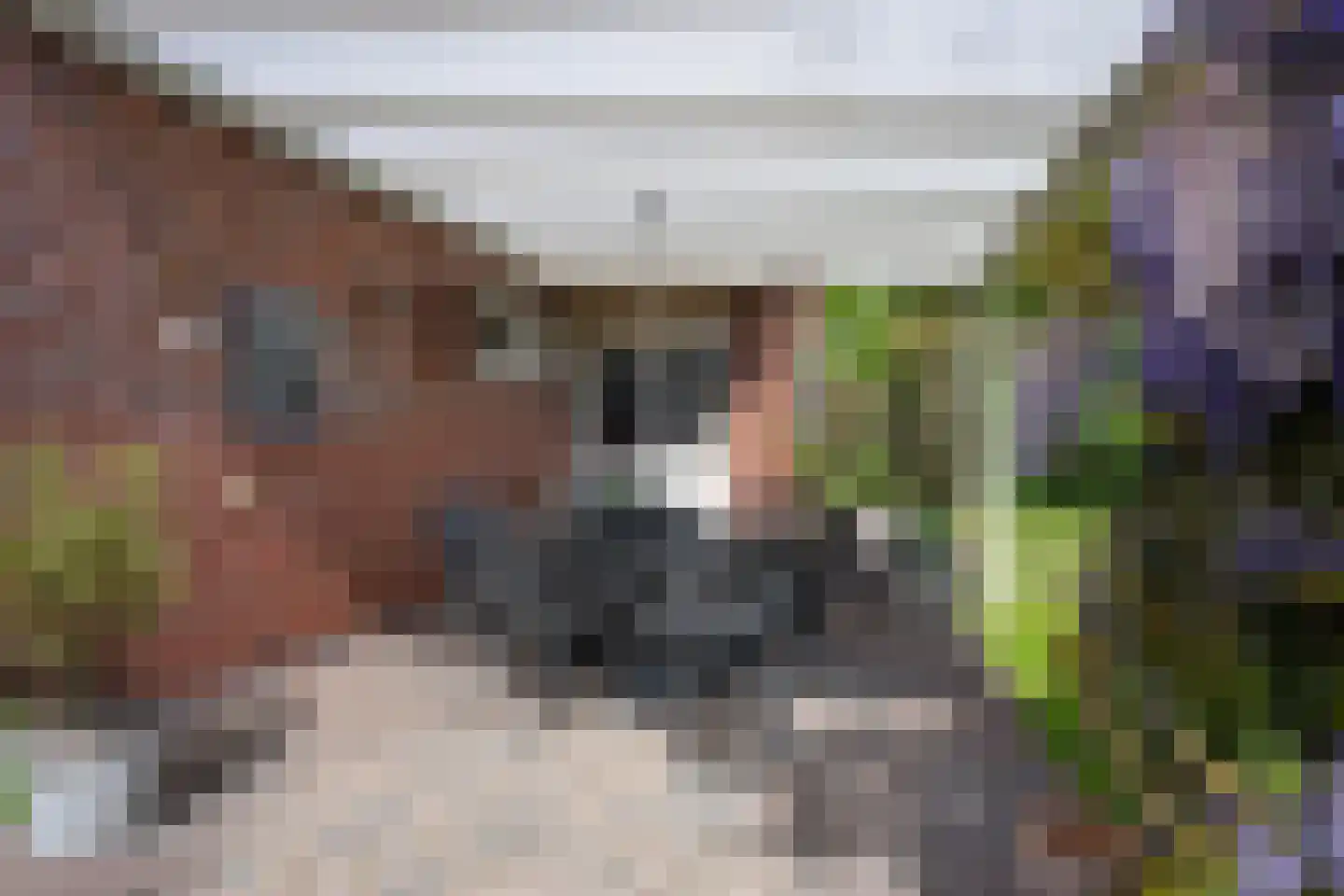Voorbeetseweg 38 Sellingen thumbnail 37