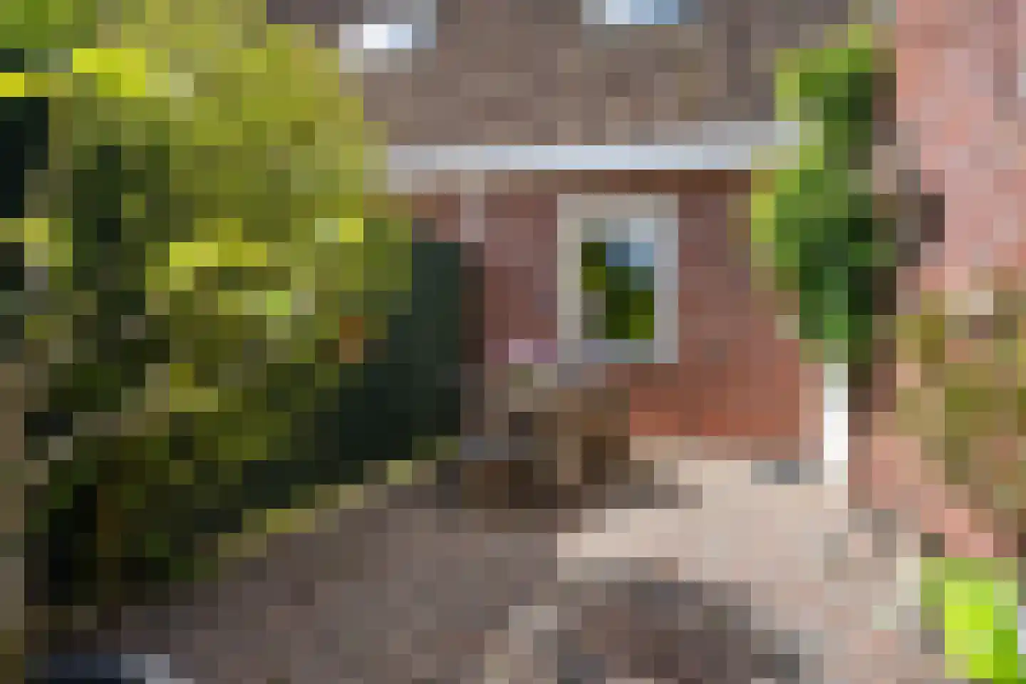 Voorbeetseweg 38 Sellingen thumbnail 38