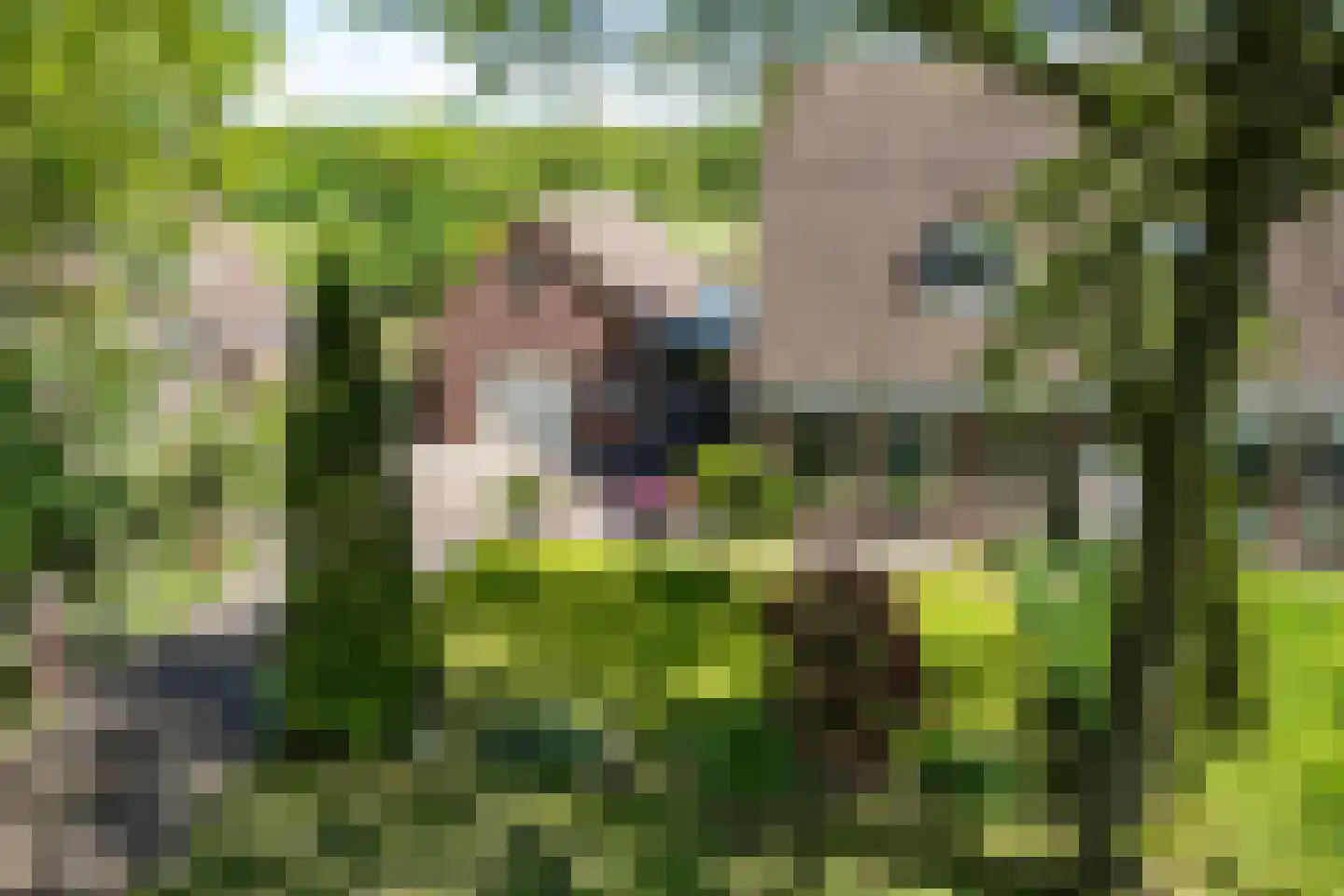 Voorbeetseweg 38 Sellingen thumbnail 43