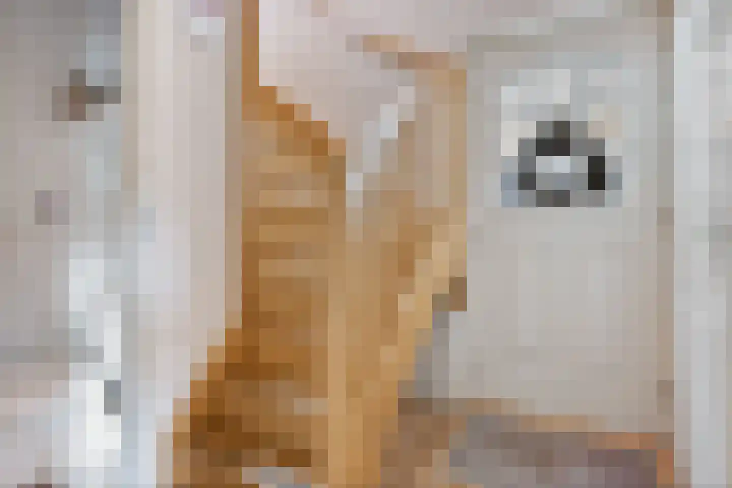 Voorbeetseweg 38 Sellingen thumbnail 7