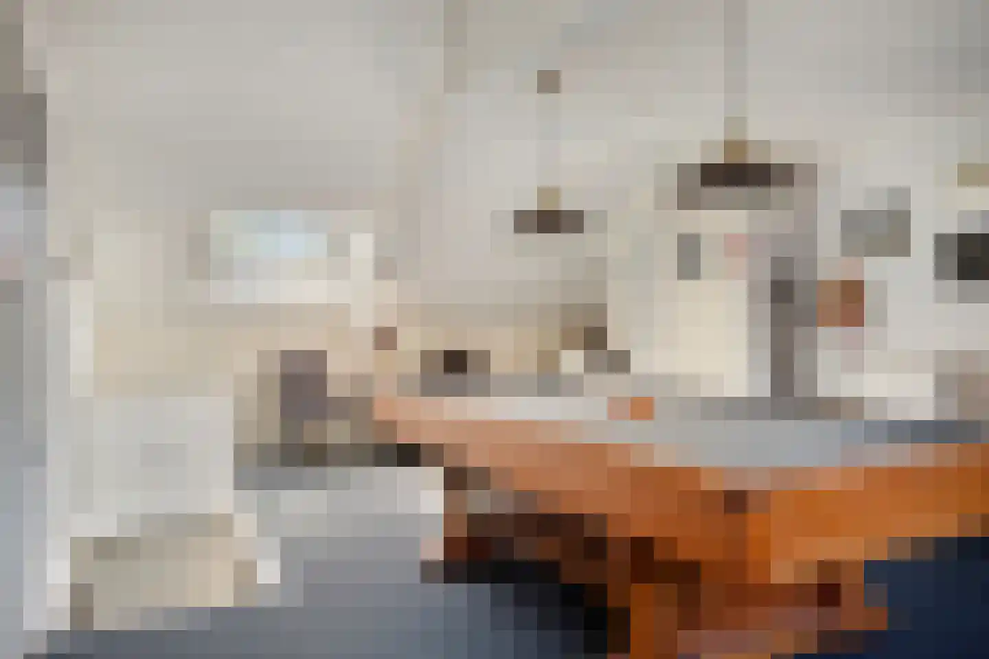 Voorberghlaan 14 Schiedam thumbnail 22