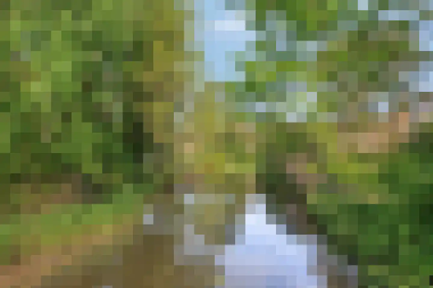 Voorberghlaan 14 Schiedam thumbnail 29