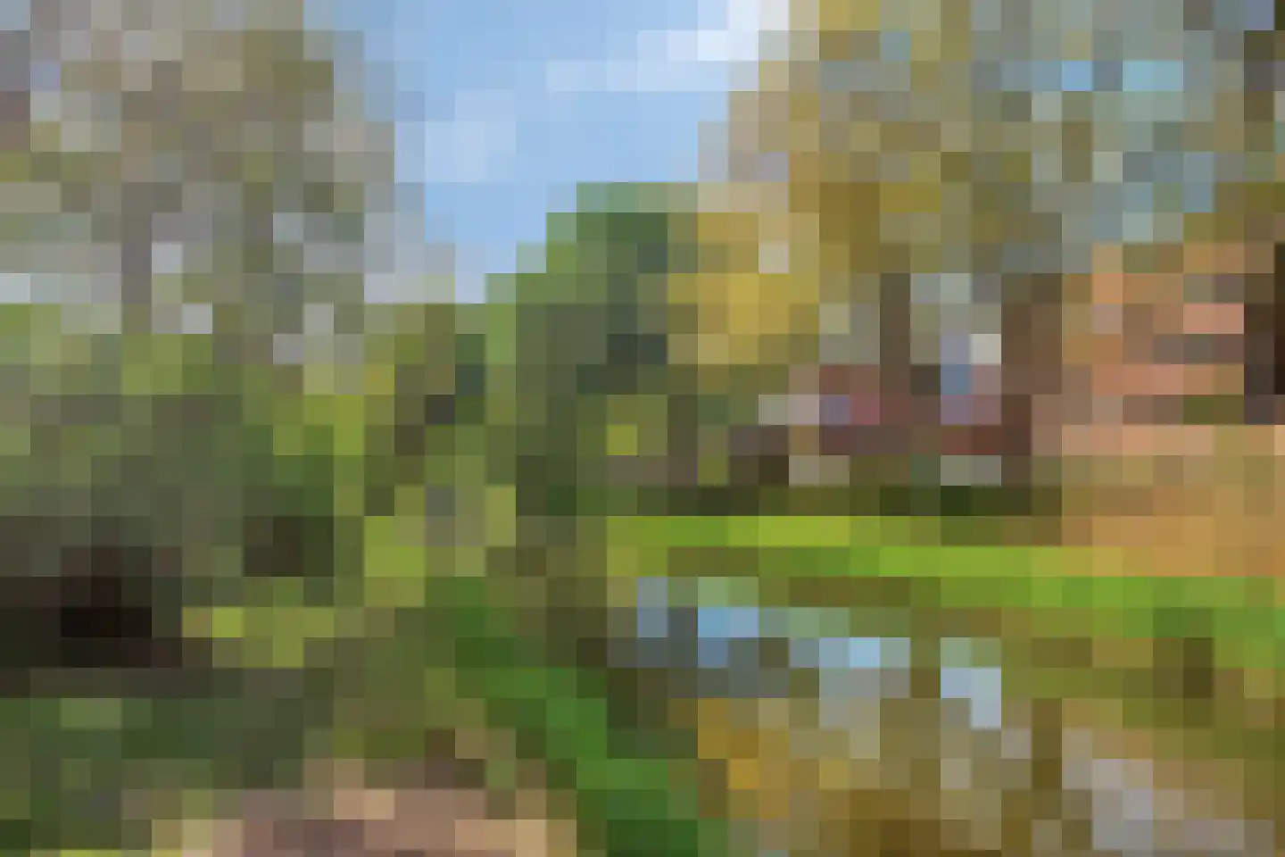 Voorberghlaan 14 Schiedam thumbnail 30