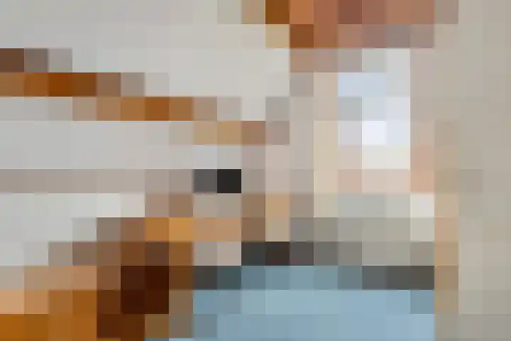 Voorbijstraat 22 Duiven thumbnail 19