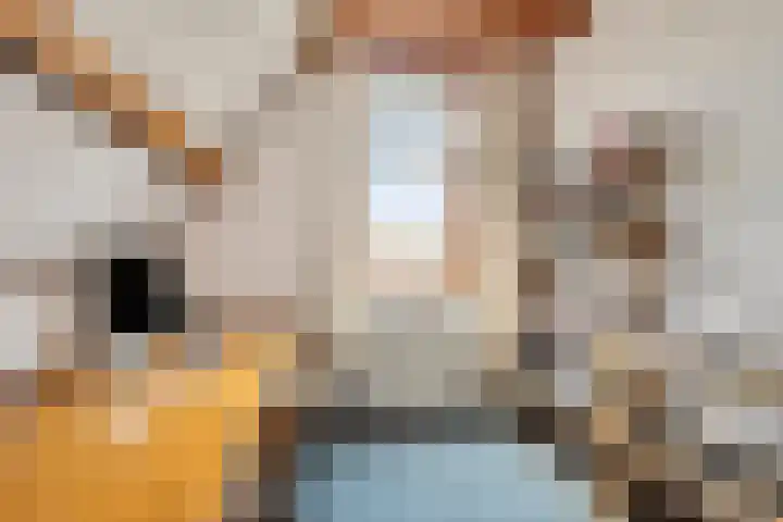 Voorbijstraat 22 Duiven thumbnail 20