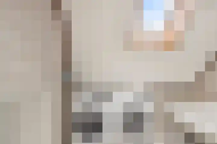 Voorbijstraat 22 Duiven thumbnail 23