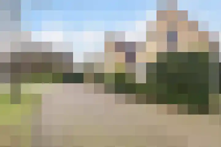 Voorbijstraat 22 Duiven thumbnail 4