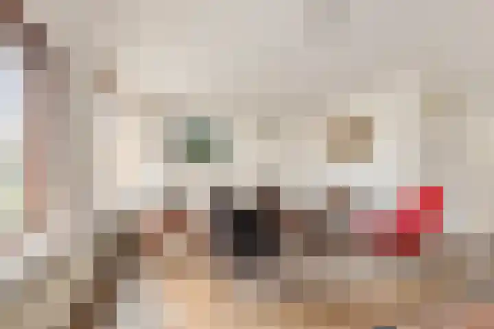 Voorbijstraat 22 Duiven thumbnail 7