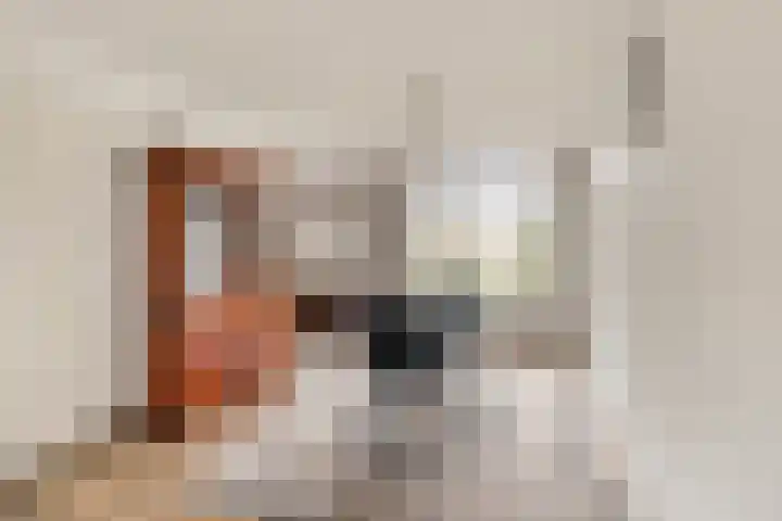 Voorbijstraat 22 Duiven thumbnail 9
