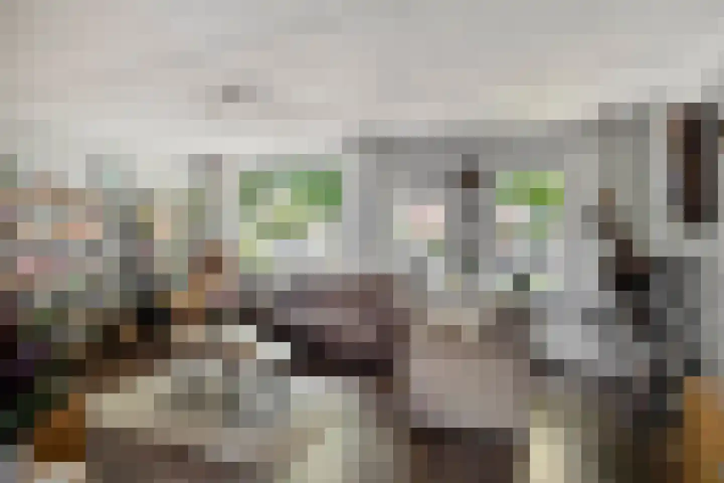 Voorbijstraat 6 Duiven thumbnail 10