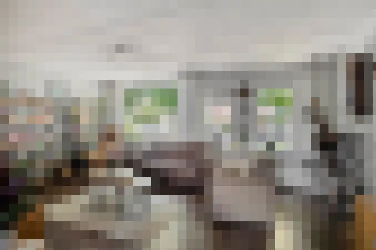 Voorbijstraat 6 Duiven thumbnail 10