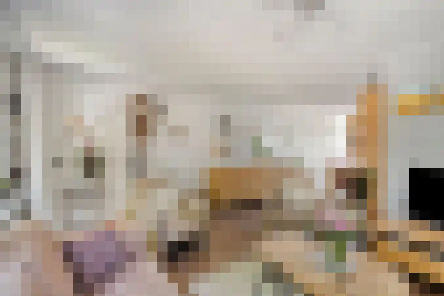 Voorbijstraat 6 Duiven thumbnail 12