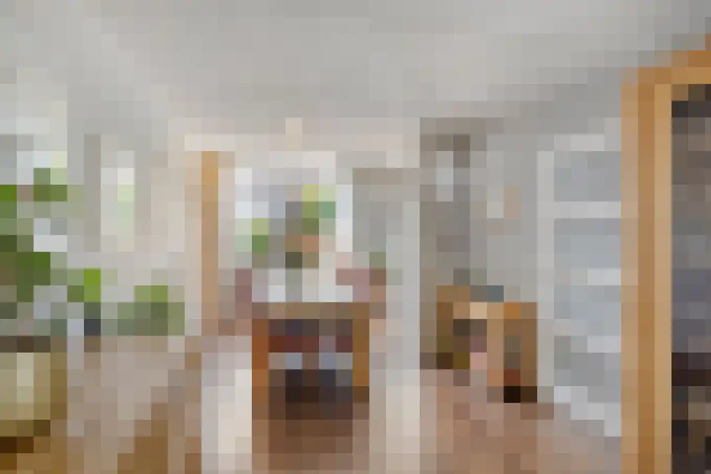 Voorbijstraat 6 Duiven thumbnail 13