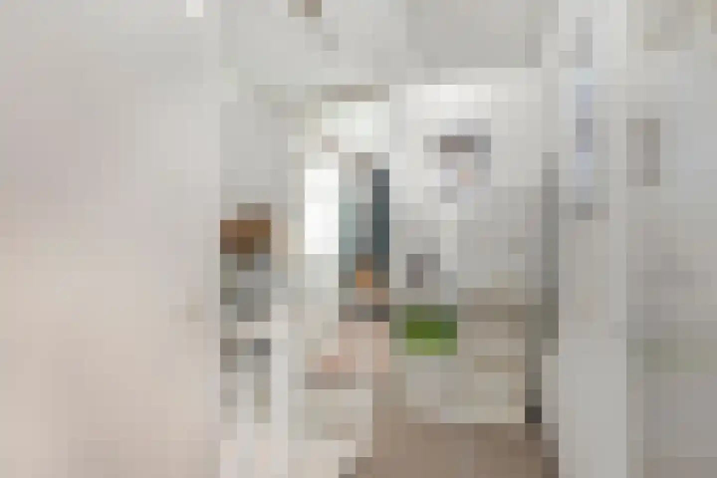 Voorbijstraat 6 Duiven thumbnail 17