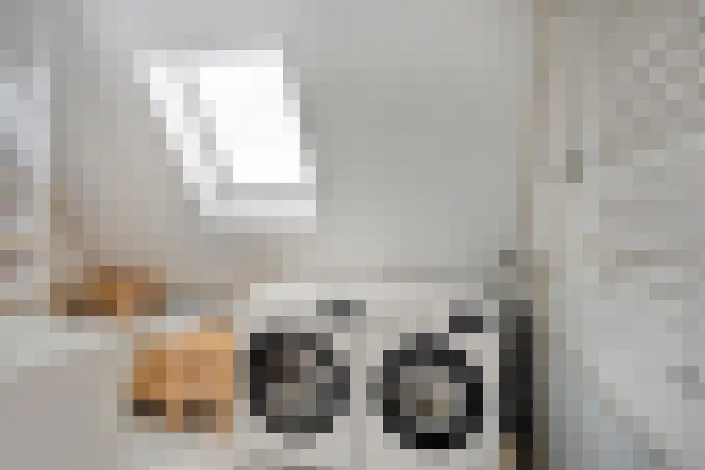 Voorbijstraat 6 Duiven thumbnail 22