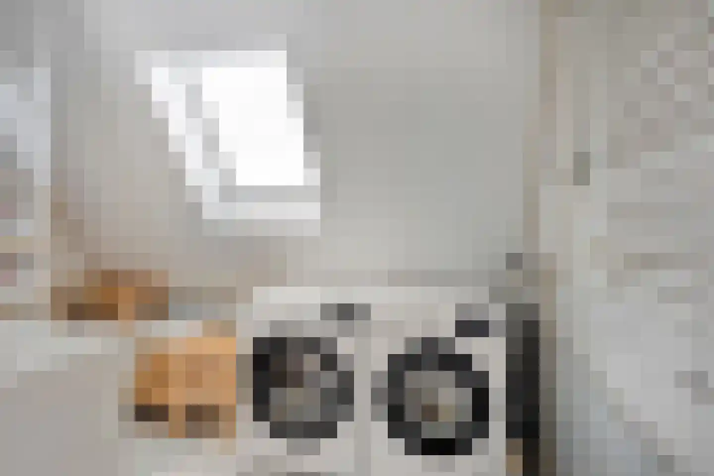 Voorbijstraat 6 Duiven thumbnail 22