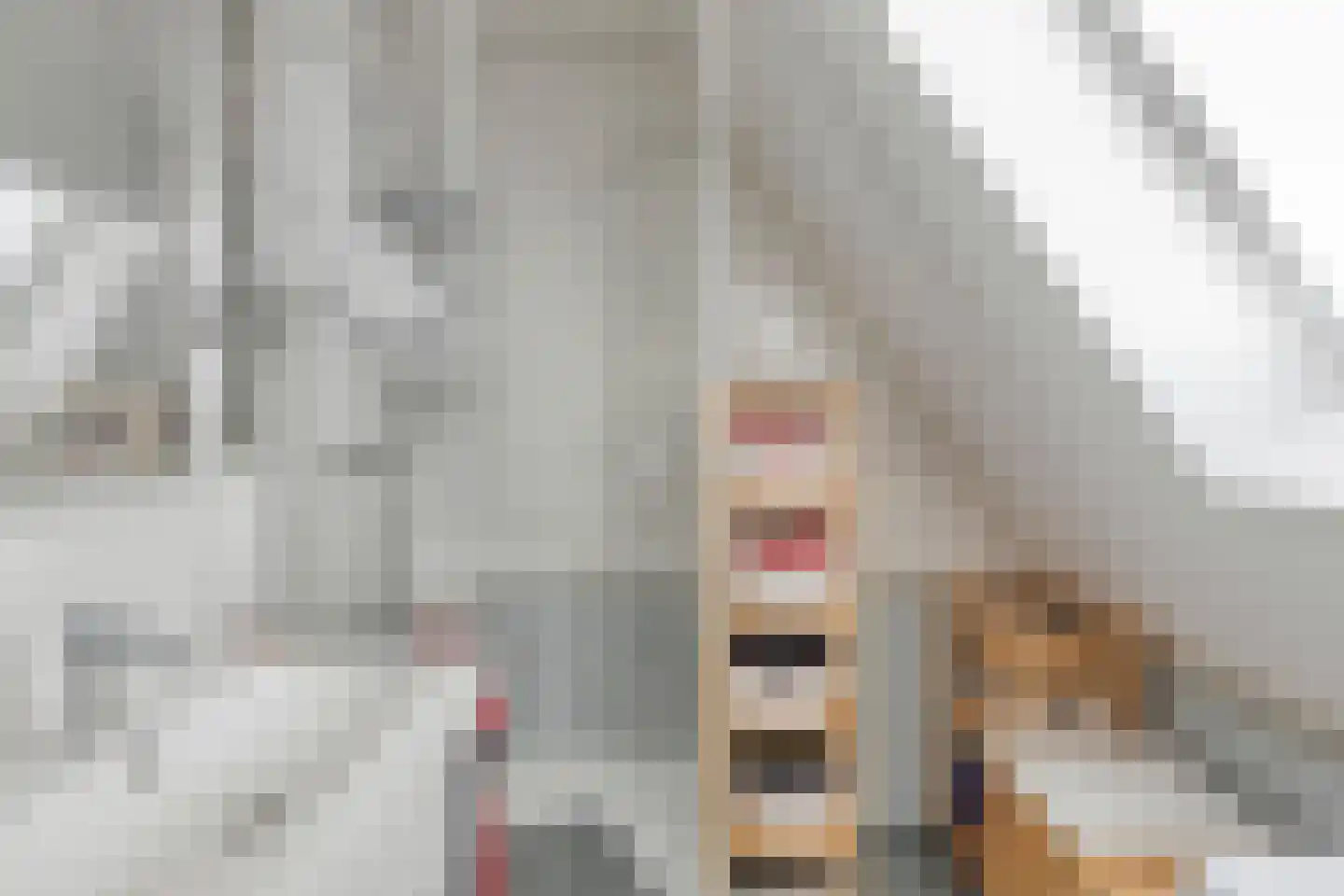 Voorbijstraat 6 Duiven thumbnail 23
