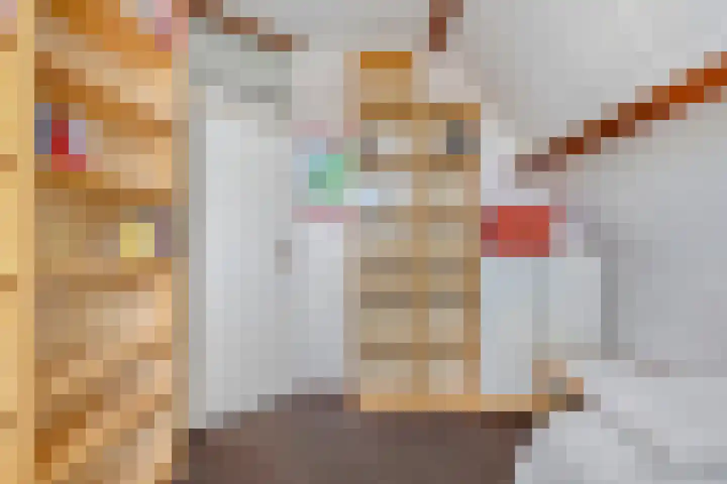 Voorbijstraat 6 Duiven thumbnail 25
