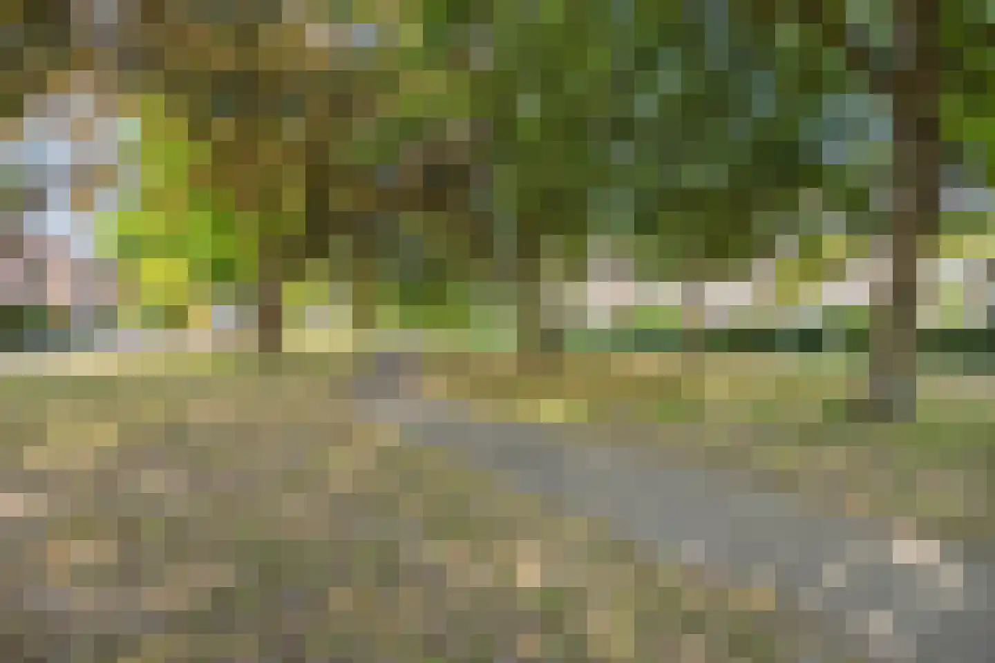 Voorbijstraat 6 Duiven thumbnail 32